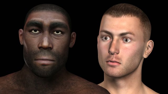 Homo Erectus Animation