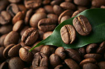 coffee beans