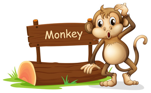 A monkey beside a sign board