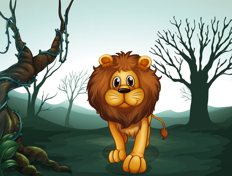 A lion in a scary forest