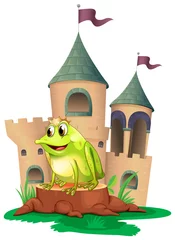 Cercles muraux Chateau Un prince grenouille avec un château dans le dos