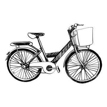 bicycle - sketch illustration hand drawn.