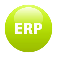 bouton internet ERP green