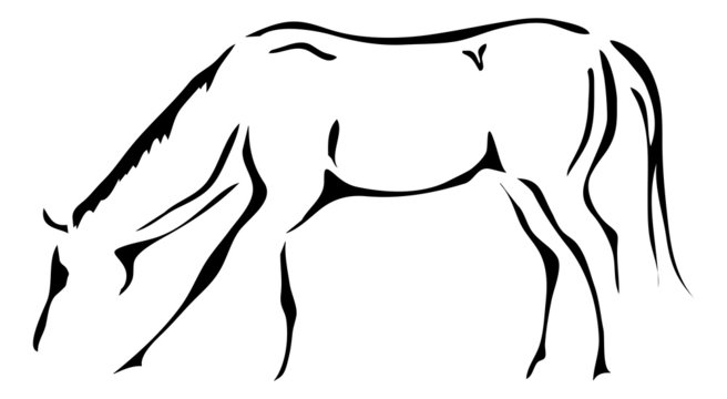 black and white vector outlines of horse