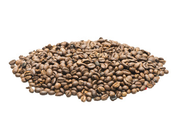 Coffee Bean on white background