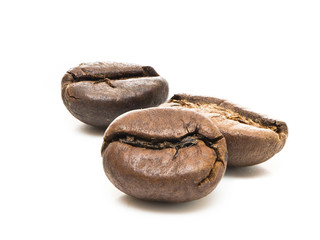 coffee seeds