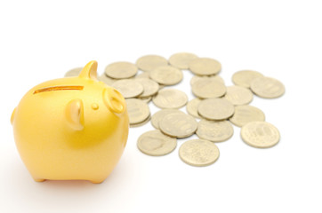 豚の貯金箱　５００円