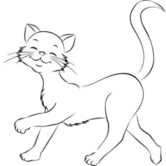 lustige Katze spazierend