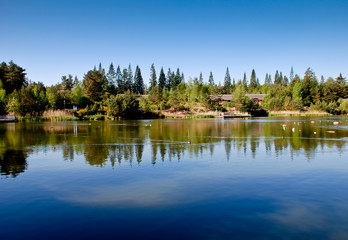 Fototapeta na wymiar Jezioro na dzień lata