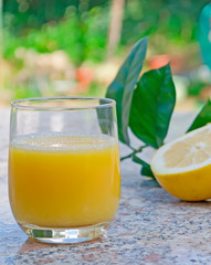 juice and grapefruit