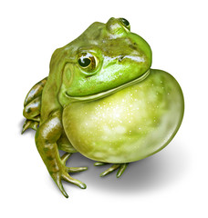 Frog Inflated Throat