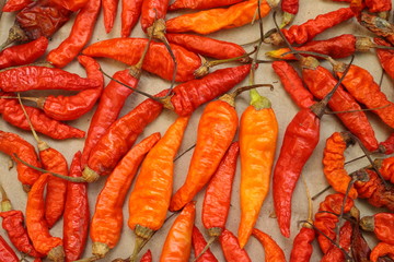 Dry red chili peppers