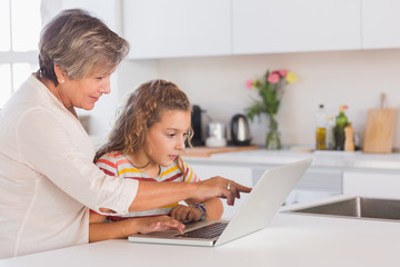 Grandmother and child looking at laptop
