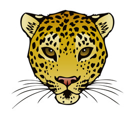 Leopard Illustration