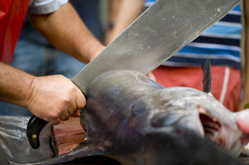 swordfish at market