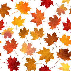 Autumn maple leaves, seamless background.