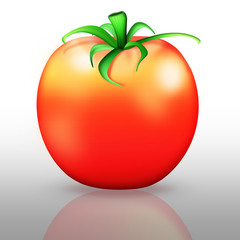 Reife rote Tomate, gesundes Gemüse