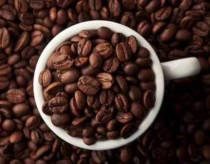 coffee roasted beans