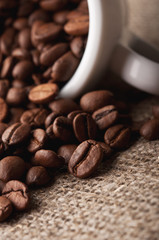 roasted beans background