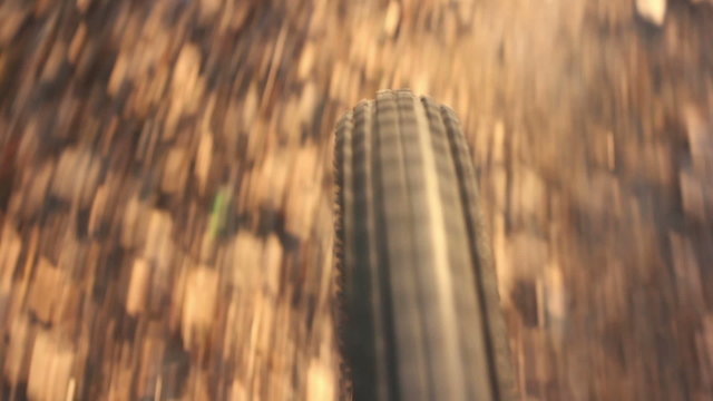 Riding quickly. Bicycle wheel  close-up. HD