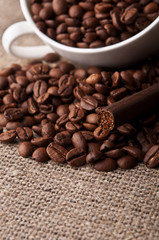 roasted beans background