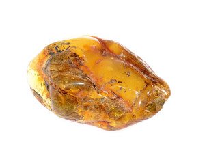 amber from coast of the Baltic sea isolated