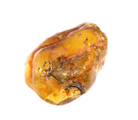 amber from coast of the Baltic sea isolated