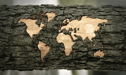 world map carved in tree bark