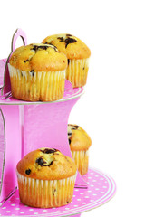 Muffins with chocolate on the stand