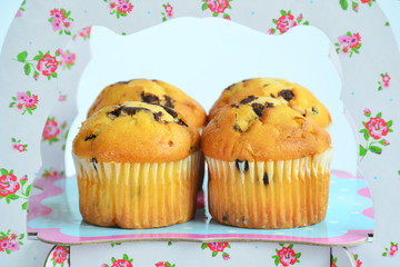 Muffins with chocolate on the stand