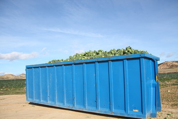 Naklejka premium Agricultura intensiva 2