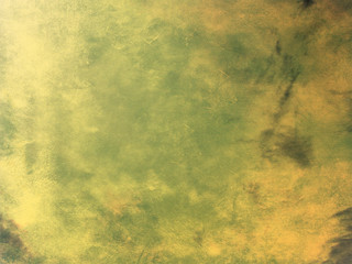 Vintage nature background