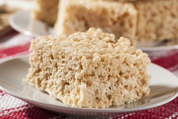 Marshmallow Crispy Rice Treat
