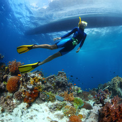 Freediving