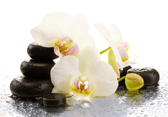 Obraz na płótnie Canvas Spa stones and orchid flowers, isolated on white.