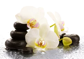 Spa stones and orchid flowers, isolated on white.