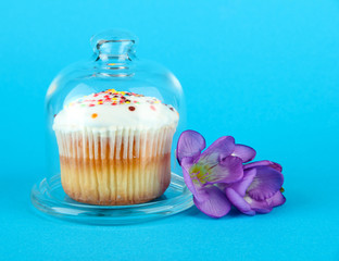 Cupcake on saucer with glass cover, on color background