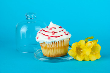 Cupcake on saucer with glass cover, on color background