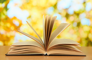 Opened book on bright background