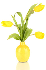Yellow tulips in vase isolated on white