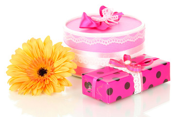 Beautiful Gerber flower with gifts isolated on white