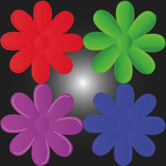 color flower