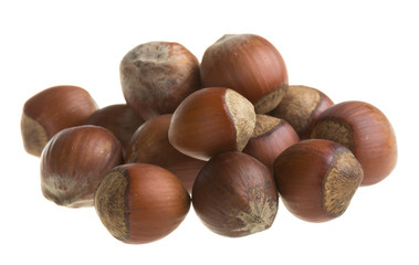 Fototapeta premium Dried hazelnuts