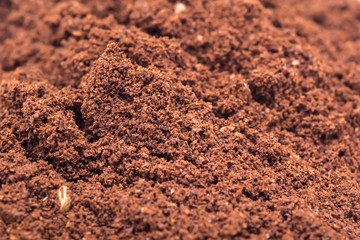 Coffee Powder