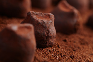 chocolate truffles