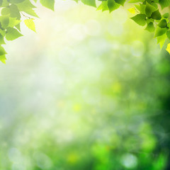 Fototapeta na wymiar Dzień Miracle na łące latem. Abstrakcyjne tła naturalne