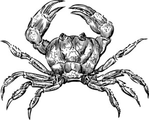 crab