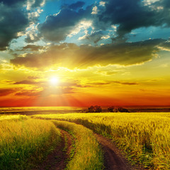 sunset over rural road near green field
