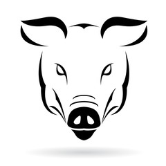 Vector image of a pig on a white background