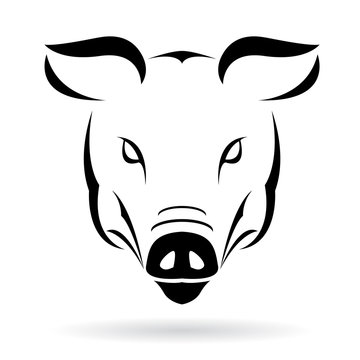 Vector image of a pig on a white background